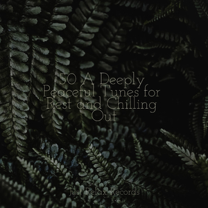 Echoes of Unspoken Dreams