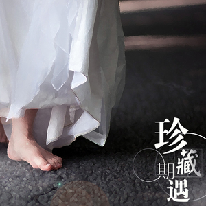 珍藏系列1——珍藏回忆