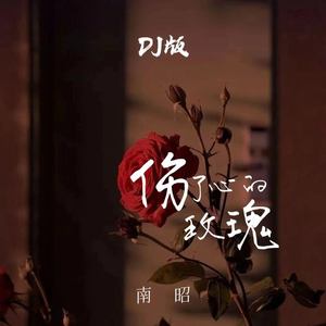 伤了心的玫瑰 (DJ版)