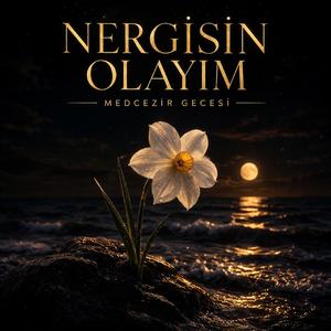 Nergisin Olayım