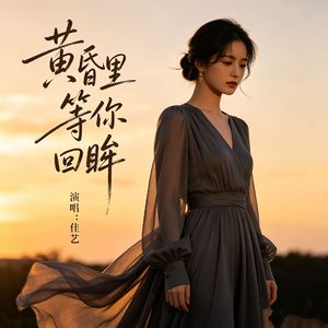 黄昏里等你回眸(伴奏)