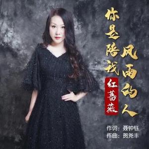 你是陪我风雨的人