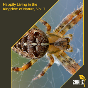 Soothing Rain At Palm Garden