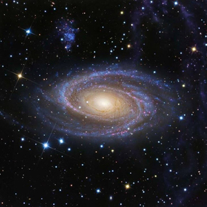 THE LUCKIEST PERSON ALIVE