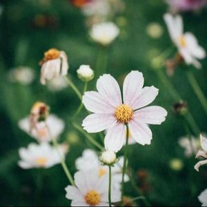 we don't talk anymore