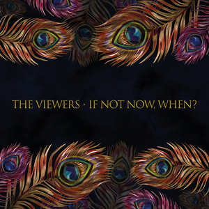 TOO MUCH MUSIC (NOT ENOUGH SOUL)