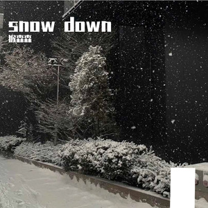 雪是碎了的月亮