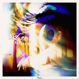 ディストーション