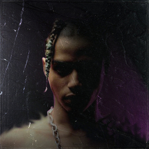 LES MARCHEURS BLANCS