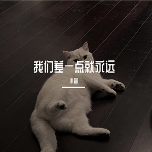 她走后的第几天