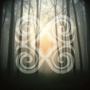 Forest of Silent Gods｜沈黙の神々の森