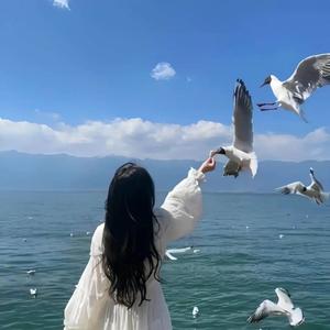 虫儿飞(甜美版)