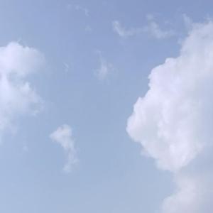 白羊cover：徐秉龙/沈以诚