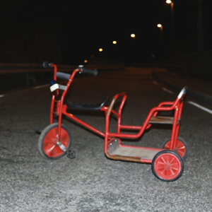Støttehjul