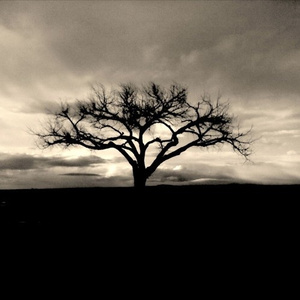 Bandolier (Prod. by 3DMG & KevinTheCreep)