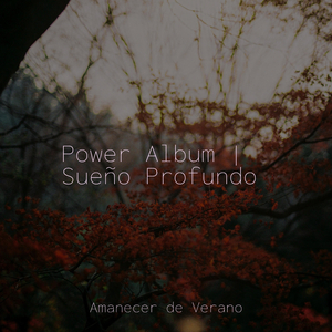 Flotando en Cielos Plumosos