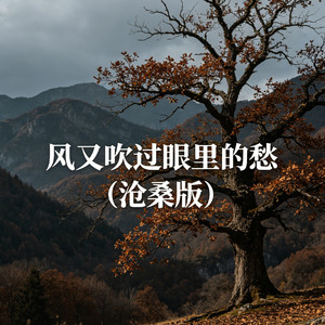 风又吹过眼里的愁（沧桑版）
