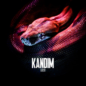KANDIM