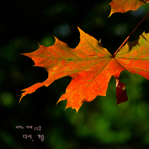 매장음악, 분위기의 품격을 높여주는 뉴에이지 힐링음악 - 다시, 가을