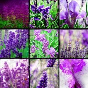 h o l y s w o r d f a r e w e l l