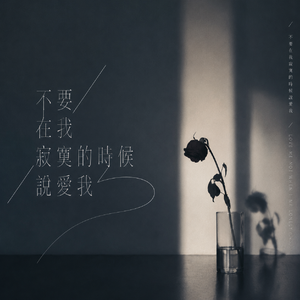 不要在我寂寞的时候说爱我(心碎慢摇版remix）