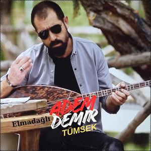 Alışırsın Dediler