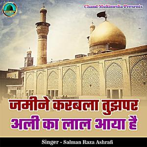 Jameene Karbala Tujhpar Ali Ka Laal Aaya Hai