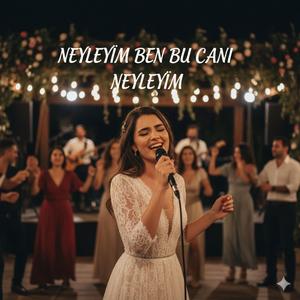 Neyleyim Ben Bu Canı Neyleyim - 2.0