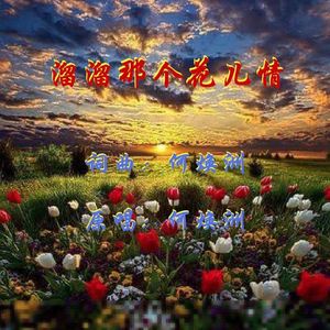 溜溜那个花儿情(何焕洲原唱)