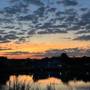 ย้อน (Rewind)