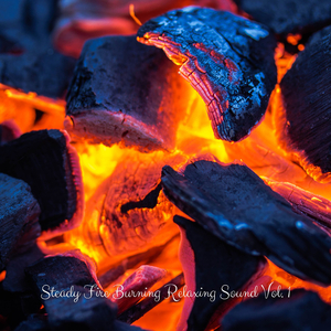 Detoxifying Fire Sounds