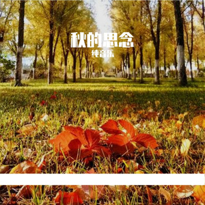 秋的思念