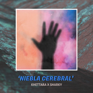 Niebla Cerebral