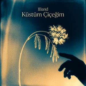 Küstüm Çiçeğim (feat. 1Band)