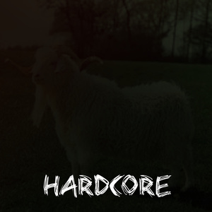 Hard core