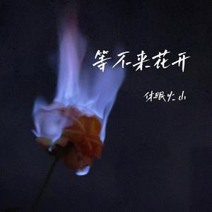 等不来花开