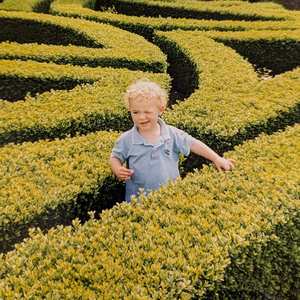 FISHING FOR TADPOLES