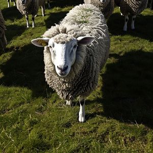 一封没有寄出的信