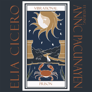 Vibrational Prison (feat. Annc Pacunayen)