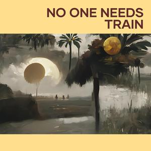 No One Needs Train
