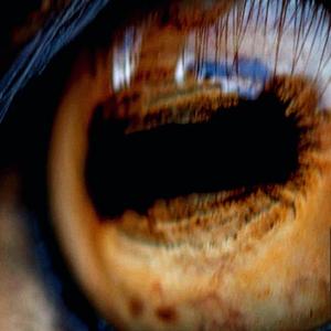 ¡¡(FREE)!! - GOAT- TRAP$ TYPE BEAT _Kendrick Lamar & Metro Booming__