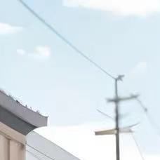 孤独陷阱