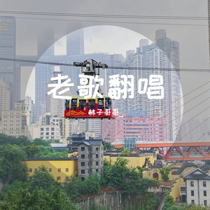 新鸳鸯蝴蝶梦-林子哥哥_翻唱