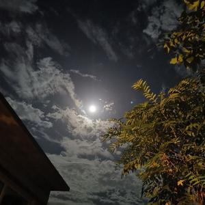 月亮下写诗（烟嗓）