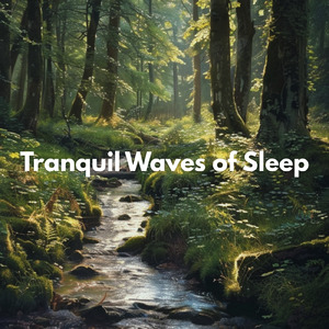 眠りの浅い貴方のための快眠音楽 1分で眠れる1/fの揺らぎヒーリングギター