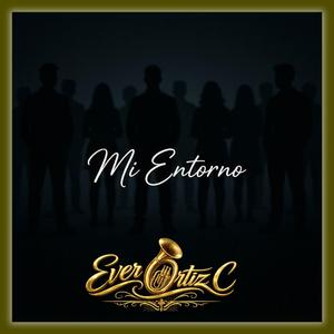 Mi Entorno