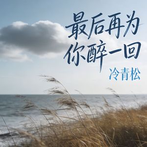 最后再为你醉一回