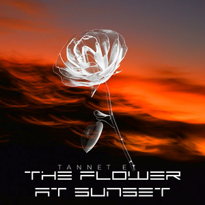 What makes sense of it All