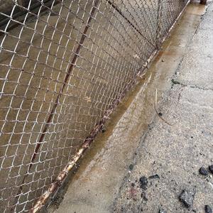 i hate the way i look at you