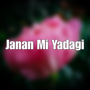 Janan Mi Yadagi